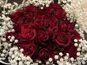 RED ROSES & GYP